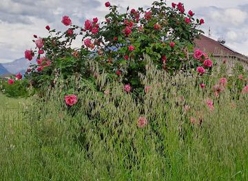 albania/lura-lakes/nightclub/matrix-space