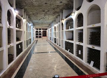 moldova/cricova-winery/nightclub/combinatul-de-vinuri-cricova