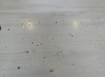 somalia/banaadir/nightclub/golaha-sopico-2023