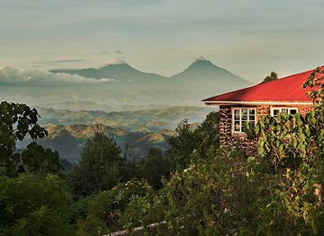 uganda/bwindi-impenetrable-national-park/nightclub/nkuringo-bwindi-gorilla-lodge