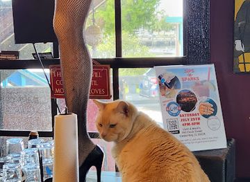 florida/cedar-key/nightclub/liam-madi-s