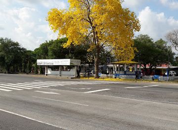 panama/volcan/nightclub/jardin-lluvia-de-estrellas