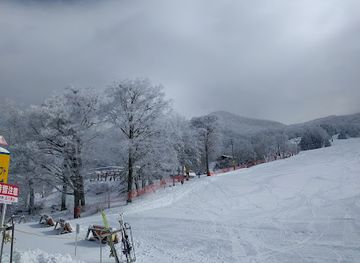 japan/zao-onsen/nightclub/jupeer