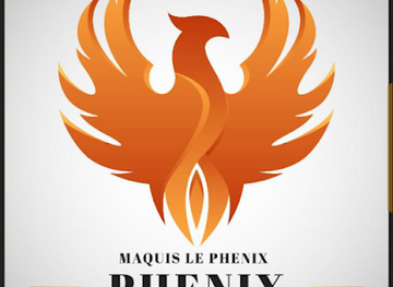 burkina-faso/gorom-gorom/nightclub/phenix-bar-vip