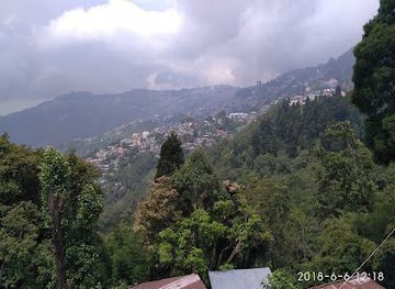 india/darjeeling/batasia-loop/nightclub/blue-pine-bar-restaurant