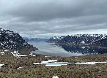 iceland/dynjandi-waterfall/nightclub/dynjandisheioi-heath