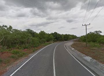 ghana/mole-national-park/nightclub/mole-national-park