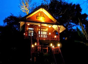 thailand/khao-sok-national-park/nightclub/khao-sok-tree-house-resort