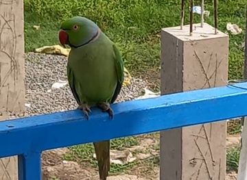 india/andhra-pradesh/nightclub/kaurwick-singh-s