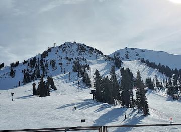 california/mammoth-lakes/nightclub/tusks-bar