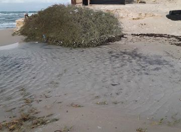 كوخ الصويري
