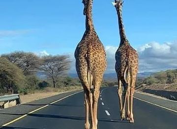 tanzania/mwanza/nightclub/rock-bottom