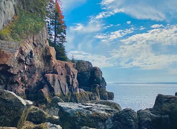 maine/mount-desert-island/nightclub/mt-desert-island