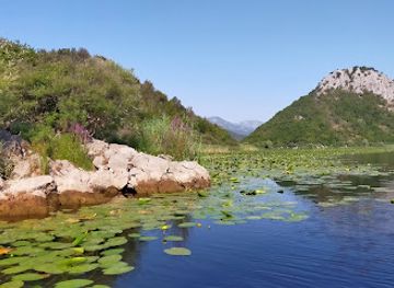 montenegro/lake-skadar/nightclub/monte-frog