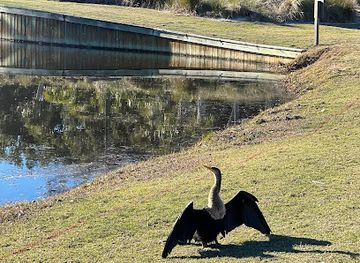 south-carolina/hilton-head-island/nightclub/golf-courses