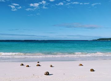 new-caledonia/lifou-island/nightclub/base-de-voile-nautique-de-we