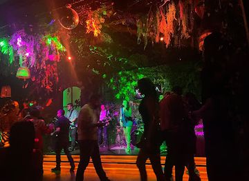 Iguana Lounge