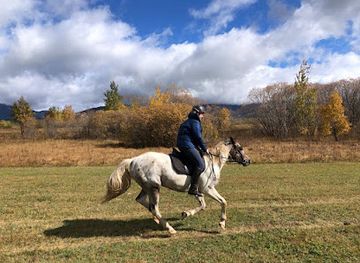 bosnia-and-herzegovina/kupres-ski-resort/nightclub/kupresholiday-riding