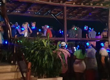 Crazy Monkey Bar