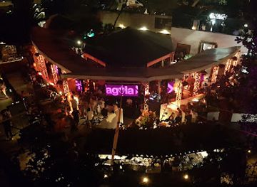 italy/maremma/nightclub/tartana