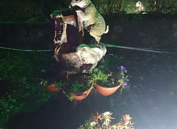 romania/buila-vanturarita-national-park/nightclub/discoteca-sattina