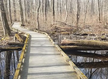 new-jersey/great-swamp-national-wildlife-refuge/nightclub/great-swamp-national-wildlife-refuge