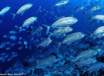 mauritius/belle-mare/nightclub/dive-passion-mauritius