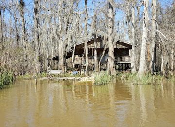 louisiana/pearl-river-wildlife-management-area/nightclub/pearl-river-wildlife-management-area