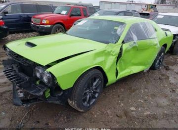 iraq/al-jazeera/nightclub/