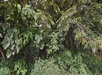 indonesia/west-sumatra/nightclub/pesta