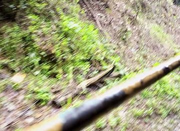 india/goa/margao/nightclub/cake-cutting-place