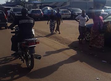 guinea/nimba-range/nightclub/crisber