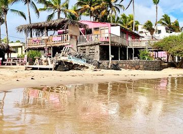 Pink Iguana Bar