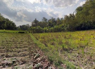 indonesia/borobudur/nightclub/sriyasan-wringinputih-borobudur