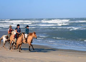uruguay/valizas/nightclub/cabalgatas-valiceras