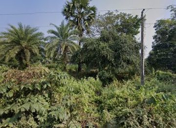 bangladesh/tanguar-haor/nightclub/nanur-kutha