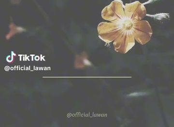 nigeria/enugu/nightclub/club-ojays-lounge-dance-bar