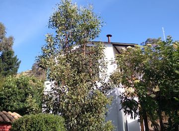 ecuador/quilotoa-crater-lake/nightclub/cabana-luna-miel-country-bar