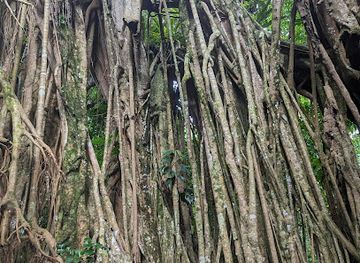 ʻEua National Park