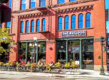 minnesota/saint-paul/lowertown/nightclub/the-bulldog-lowertown