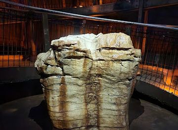 new-zealand/waitomo-caves/nightclub/ruakuri-cave-tours