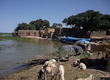 mali/mopti/nightclub/restaurant-bar-bozo