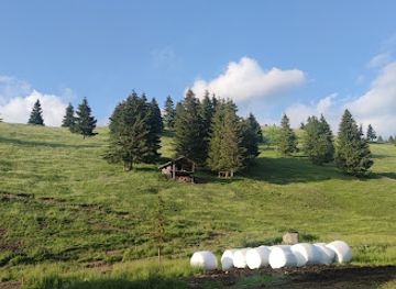 romania/ceahlau-national-park/nightclub/lunca-de-susnnr246