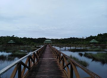 brunei/pulau-selirong-forest-reserve/nightclub/labi-forest-reserve