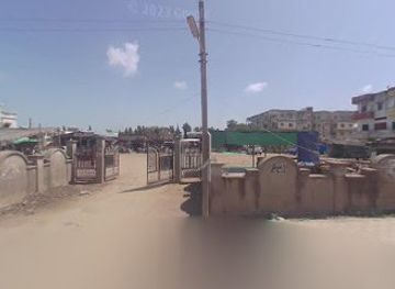 india/rann-of-kutch/nightclub/panjabi-couple-s-panipuri