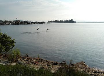 florida/sebastian-inlet-state-park/nightclub/sebastian-yacht-club