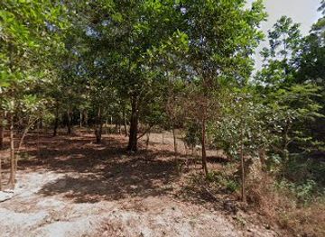 thailand/koh-lanta/nightclub/country-music-pub-and-restaurant