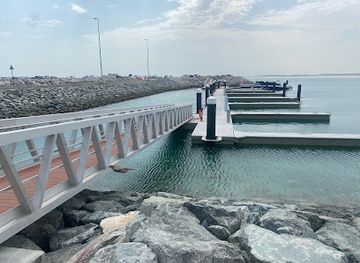 Sir bani yas boat ride