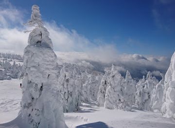 japan/zao-onsen/nightclub/zao-liza-world