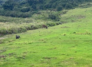 sri-lanka/horton-plains-national-park/nightclub/maha-eliya-wildlife-dormitory